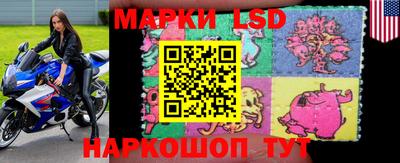 apvp Ачхой-Мартан