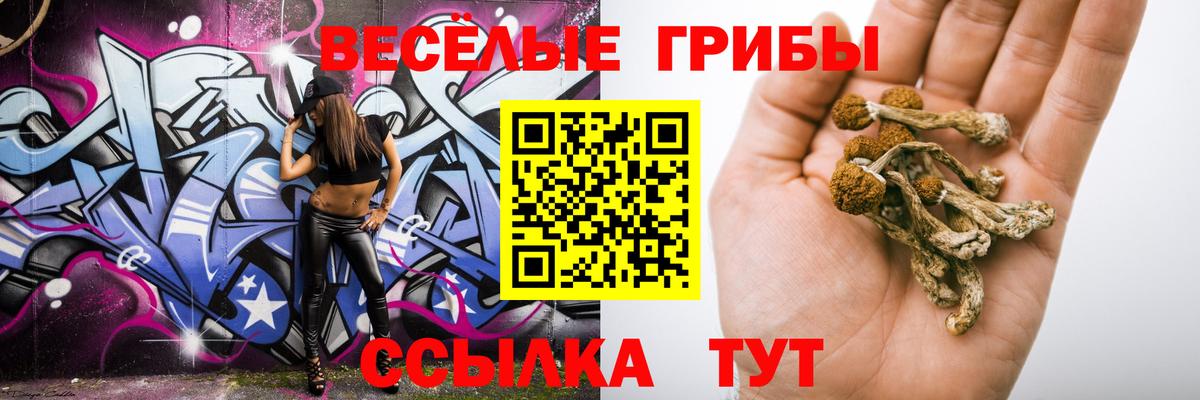 Вязьма  Галлюциногенные грибы Cubensis  Вход с VPN 